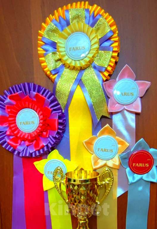 Кошки в Москве: Шикарные абиссинские котята питомника «ELDAMAR» Мальчик, 100 000 руб. - фото 7