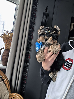 Очень красивый курносенький мальчик 