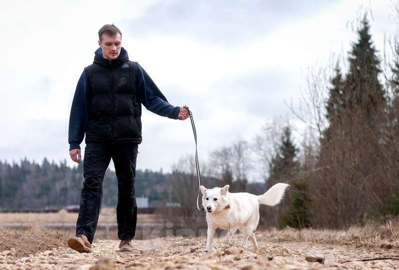 Собаки в Москве: Прекрасная домашняя собачка Шарлотта в дар Девочка, 1 руб. - фото 2