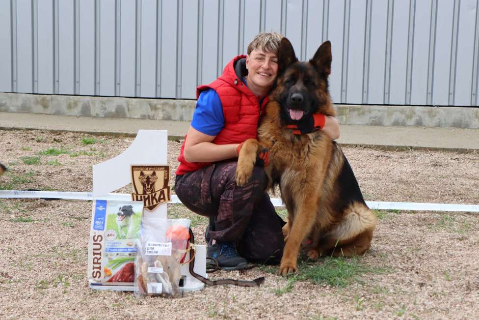 Собаки в Таганроге: Предлагается к вязке кобель немецкой овчарки Мальчик, 30 000 руб. - фото 6