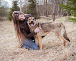 Собаки в Москве: Жизнерадостный пёс-компаньон Мальчик, Бесплатно - фото 7