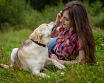 Собаки в Солнечногорске: Жизнерадостная, ласковая девчонка. Семейная собака Девочка, Бесплатно - фото 7