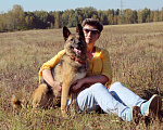 Собаки в Москве: Альма угасает в приюте срочно нужен хозяин Девочка, 10 руб. - фото 2