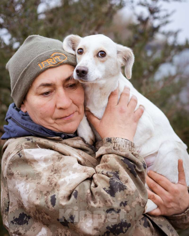 Собаки в Москве: В добрые руки Девочка, Бесплатно - фото 8