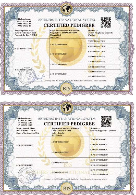 Собаки в Москве: Щенки Алано (Окрас тигровый, соболиный и песочный) Мальчик, 30 000 руб. - фото 8