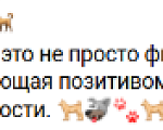 Собаки в Москве: Приглашаем гулять с собаками в приют Некрасовка! Разнополые, Бесплатно - фото 4