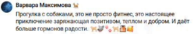 Собаки в Москве: Приглашаем гулять с собаками в приют Некрасовка! Разнополые, Бесплатно - фото 4