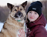 Собаки в Москве: Собака-компаньон в дар Девочка, Бесплатно - фото 3