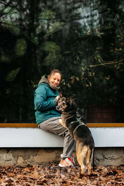 Собаки в Москве: Удивительная Текила ищет дом Девочка, Бесплатно - фото 10