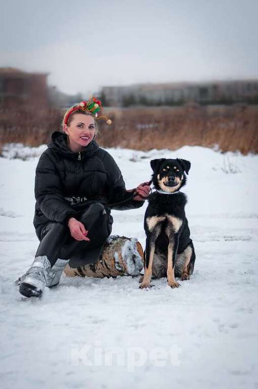 Собаки в Москве: Умная небольшая собачка Эмма в дар Девочка, Бесплатно - фото 1