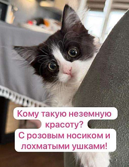 Чудесная малышка ищет семью