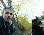 Собаки в Казани: Вязка, восточноевропейская овчарка, кобель Мальчик, 1 руб. - фото 3
