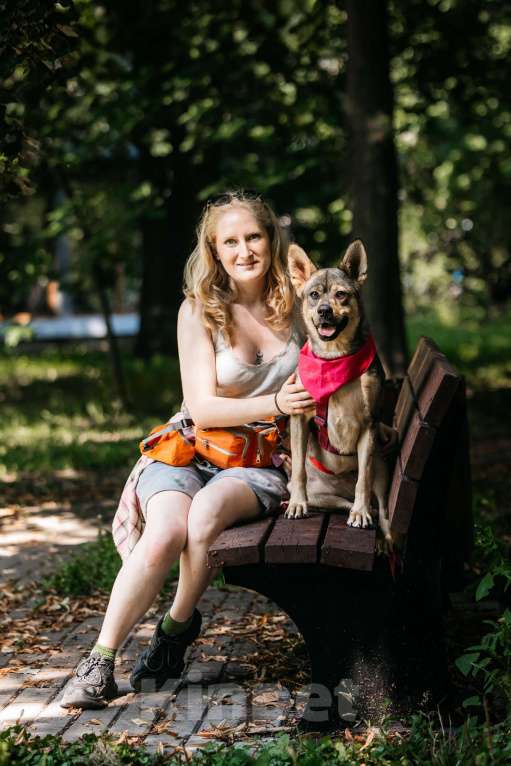 Собаки в Москве: Чудесная Булка в добрые руки Девочка, Бесплатно - фото 8