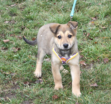 Малышка Нюша очень ждет своего родного ЧЕЛОВЕКА.