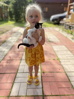 Объявление: Две прекрасные кошечки ищут дом, 1 руб., Санкт-Петербург