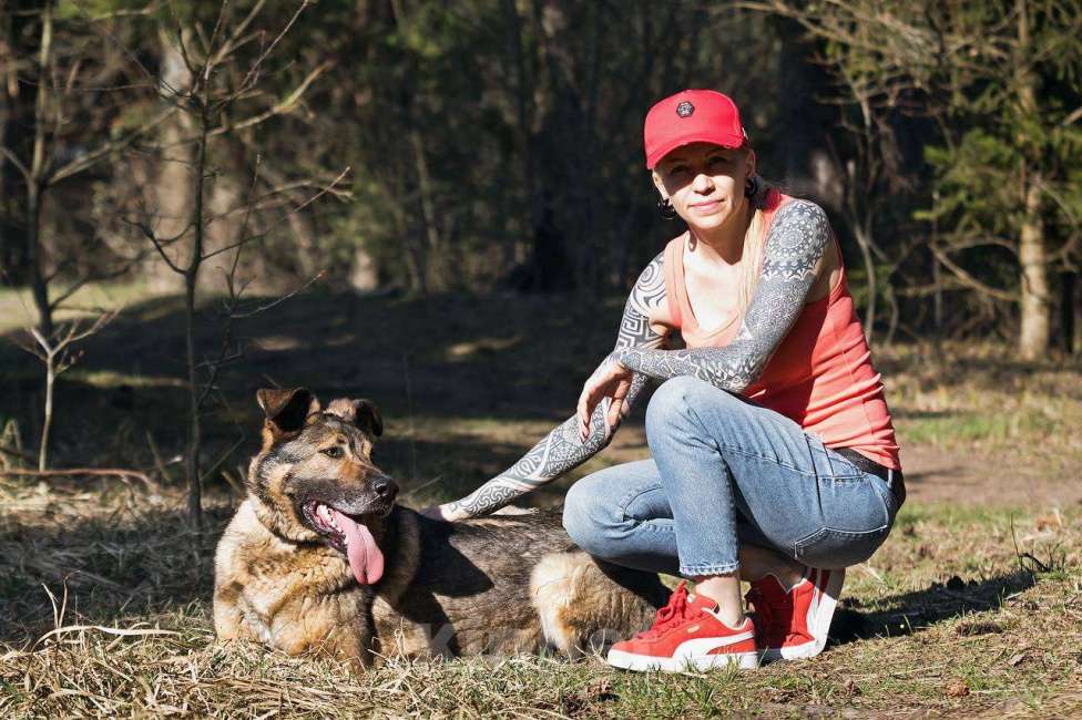 Собаки в других городах Московской области: Большой добрый Чивас в дар Мальчик, Бесплатно - фото 5