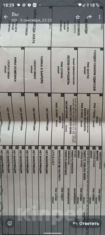 Собаки в Пятигорске: Бишон фризе продаётся девочка Девочка, 50 000 руб. - фото 5