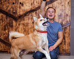 Собаки в Москве: Бывшедомашняя собака в поисках нового дома  Девочка, 1 руб. - фото 5