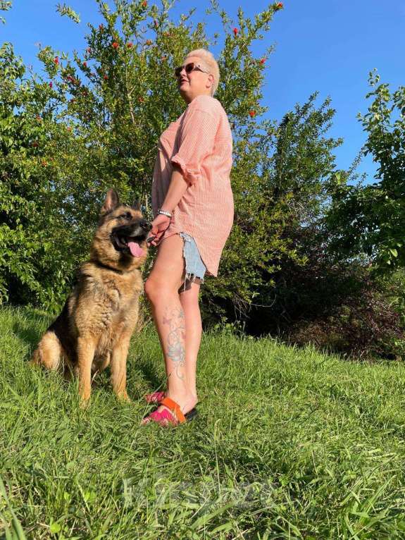 Собаки в других городах Краснодарского края: Ральф немец в дар чипирован кастрирован возможна доставка Мальчик, Бесплатно - фото 8