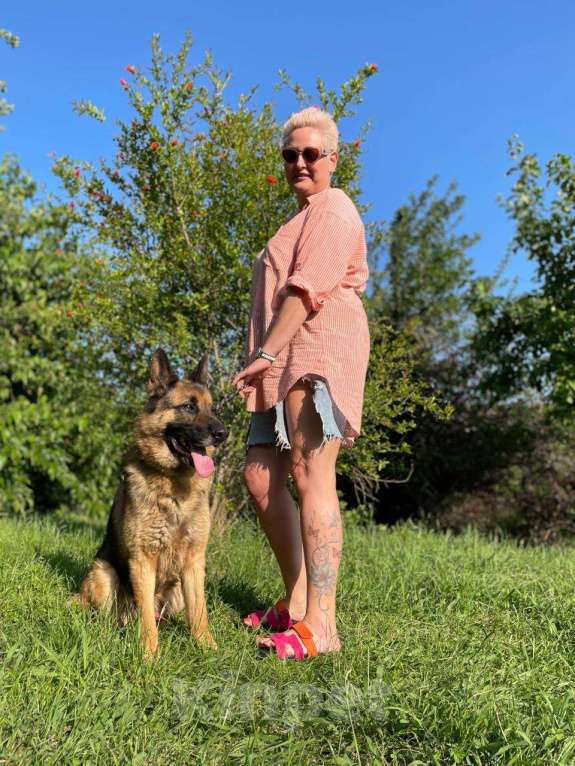 Собаки в других городах Краснодарского края: Ральф немец в дар чипирован кастрирован возможна доставка Мальчик, Бесплатно - фото 2