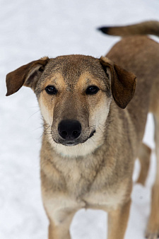 Марсель в поиске надёжного дома