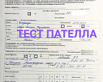 Собаки в Санкт-Петербурге: Зена чихуа окрас  шоколадный триколор Девочка, 100 000 руб. - фото 10