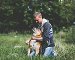 Собаки в Москве: Чудесный пес в добрые руки, Бесплатно - фото 4