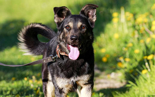 Марта вам не подходит?