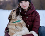Собаки в Москве: Собака-компаньон в дар Девочка, Бесплатно - фото 6