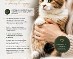 Кошки в Москве: Кошечка Герда ищет дом Девочка, 300 руб. - фото 1