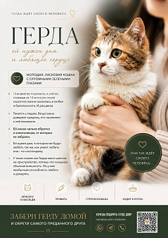 Кошечка Герда ищет дом