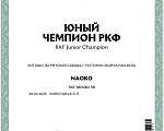 Собаки в Екатеринбурге: Бурятская собака Хотошо щенки Мальчик, 60 000 руб. - фото 10