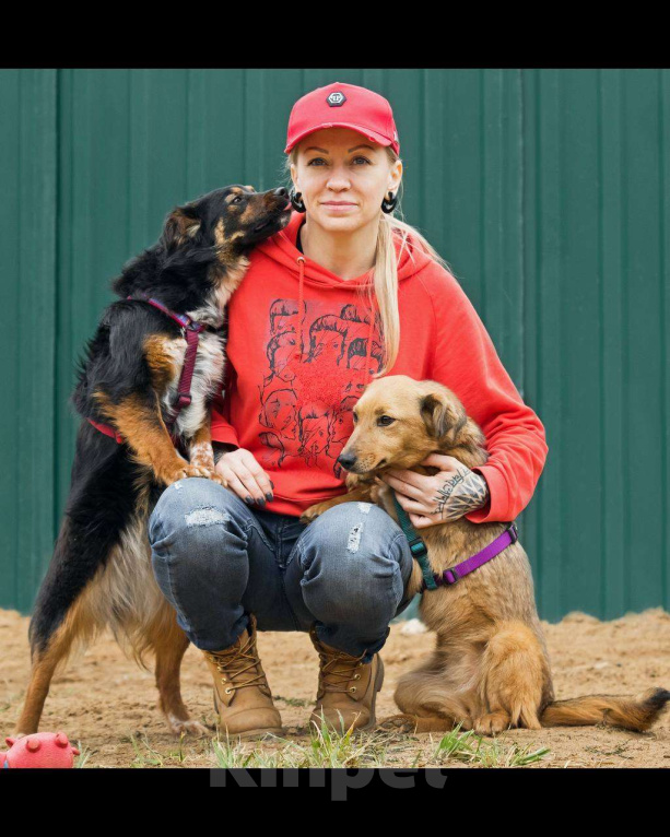 Собаки в других городах Московской области: Нила ищет семью Девочка, Бесплатно - фото 8