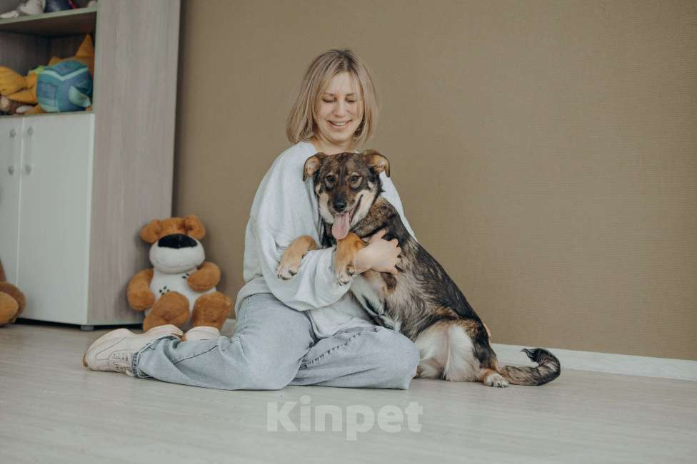 Собаки в Москве: Щенок бесплатно в Москве Девочка, Бесплатно - фото 8