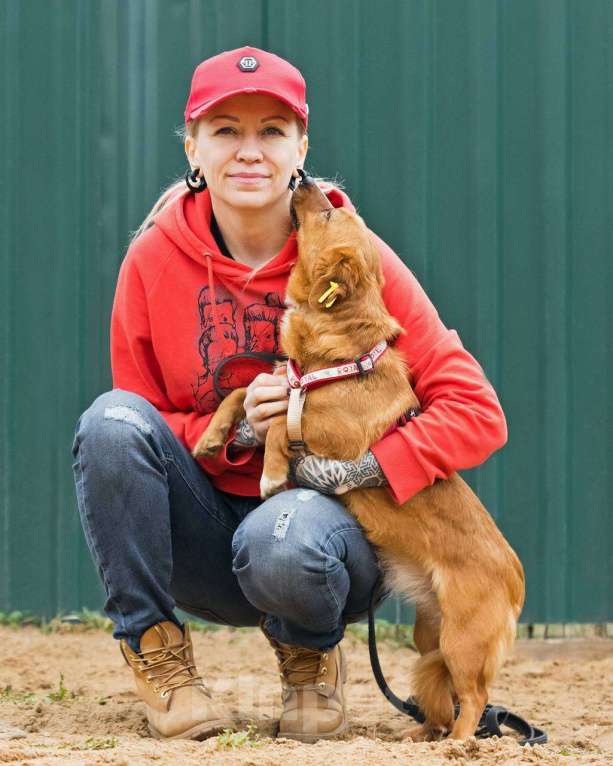 Собаки в других городах Московской области: Нежная Люси ищет дом Девочка, Бесплатно - фото 5
