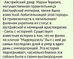 Собаки в других городах Московской области: Мальчик щенок Папильон Мальчик, 45 000 руб. - фото 6