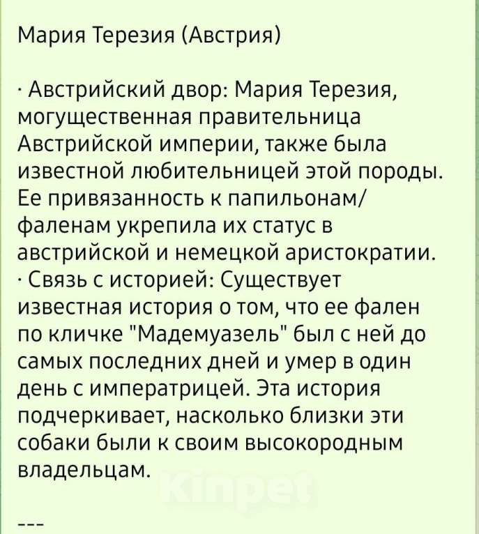Собаки в других городах Московской области: Мальчик щенок Папильон Мальчик, 45 000 руб. - фото 6