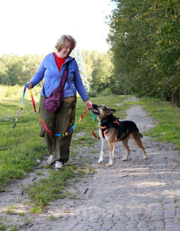 Собаки в Москве: Тоффи самая ласковая собака в мире! Девочка, Бесплатно - фото 5