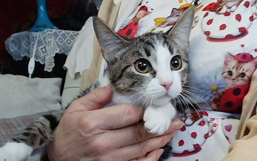 Прелестная малышка Наточка