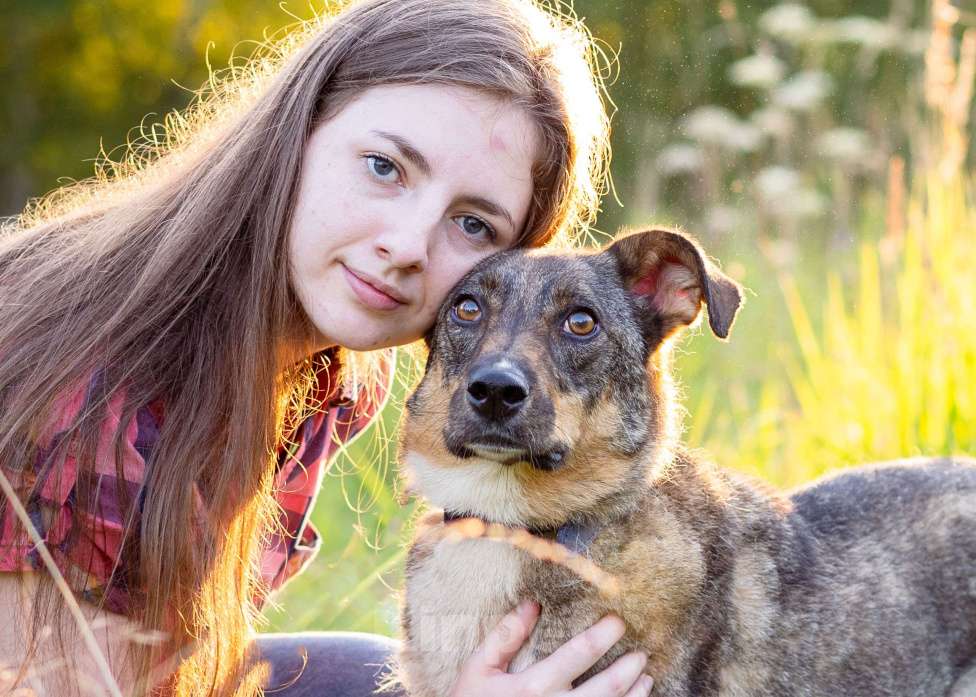 Собаки в Москве: Небольшая собачка в добрые руки! Девочка, Бесплатно - фото 8