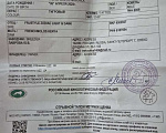 Собаки в Санкт-Петербурге: Французский бульдог  Мальчик, 50 000 руб. - фото 6