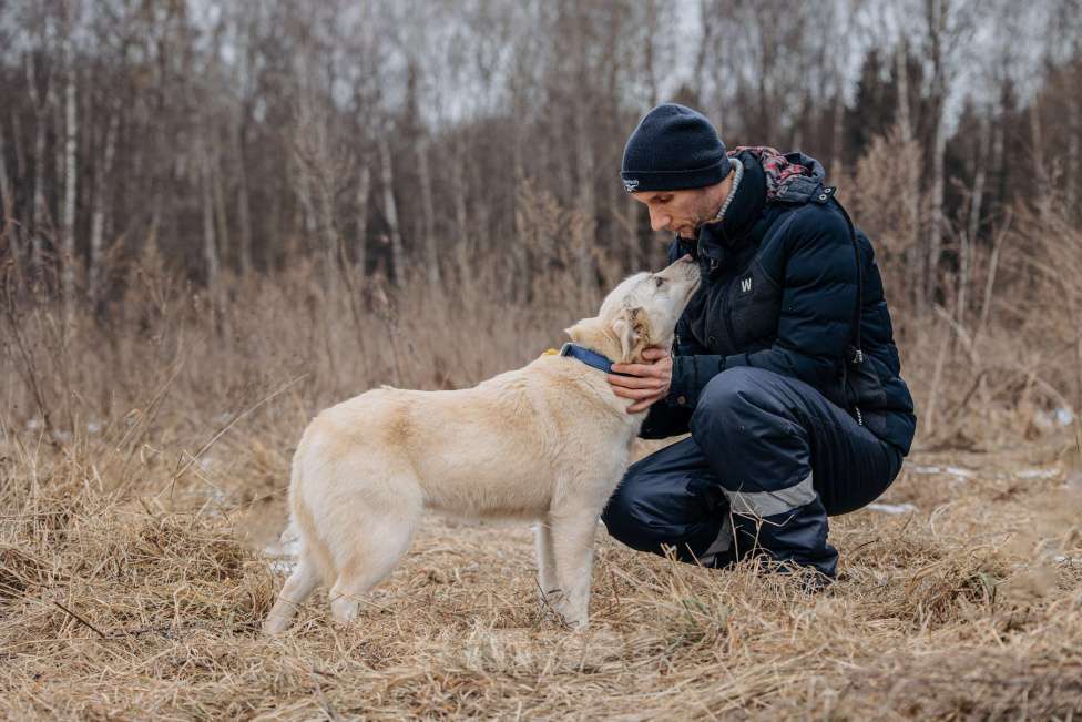 Собаки в Москве: Компаньон Девочка, Бесплатно - фото 8