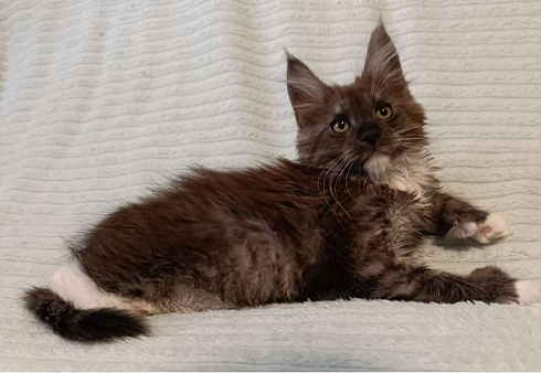 Мальчик черный дым с белым