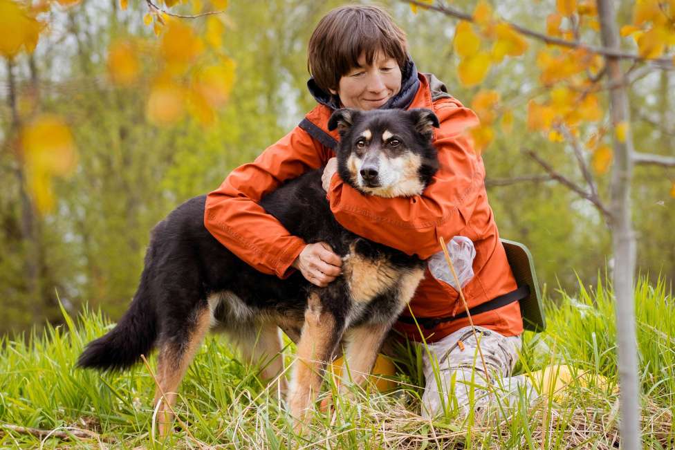 Собаки в Москве: Собака из приюта ищет дом Мальчик, Бесплатно - фото 4