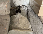 Кошки в Ростове-на-Дону: Кошку с котятами выбросили, временно живут в подъезде Разнополые, Бесплатно - фото 4