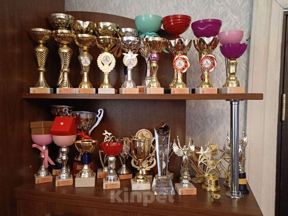 Кошки в Комсомольске-На-Амуре: Курильский бобтейл Мальчик, 50 000 руб. - фото 10