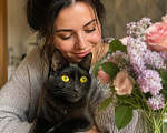 Кошки в Москве: Я твое счастье Мальчик, Бесплатно - фото 4