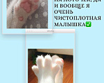 Кошки в Саратове: Котёнок в добрые руки Девочка, Бесплатно - фото 4