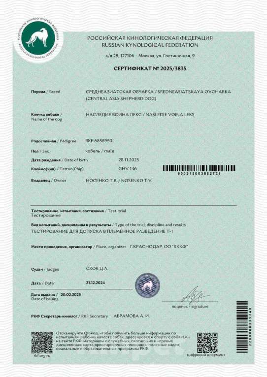 Собаки в Краснодаре: Кобель САО (вязка) Мальчик, Бесплатно - фото 8