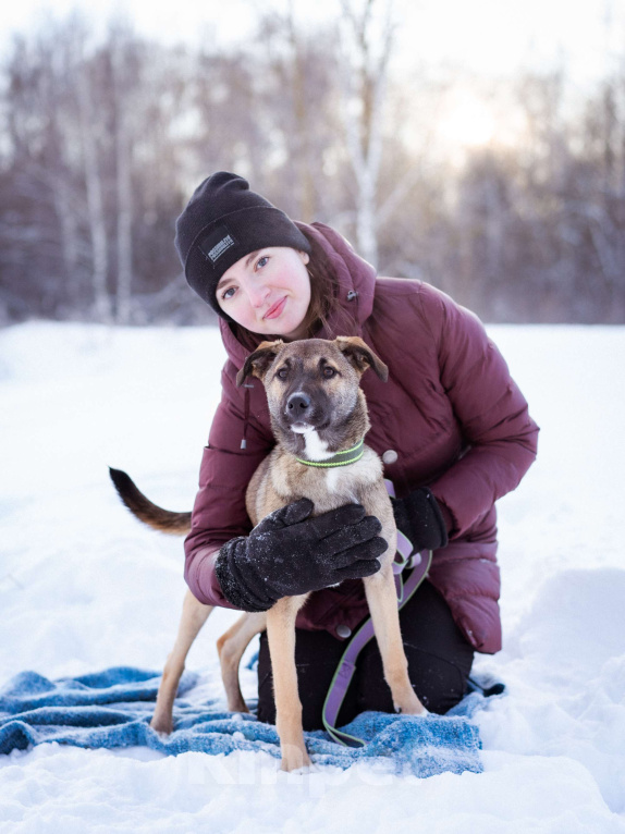 Собаки в Москве: Маленькая собачка 10 кг в дар Девочка, Бесплатно - фото 1